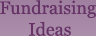 Fundraising Ideas